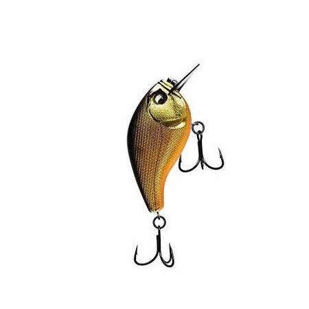 13 Fishing